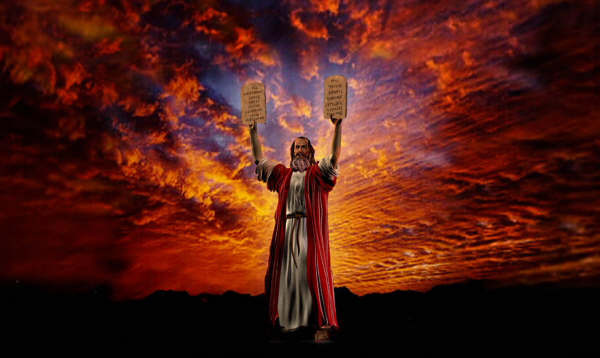 {賭馬}(十诫是哪十个)