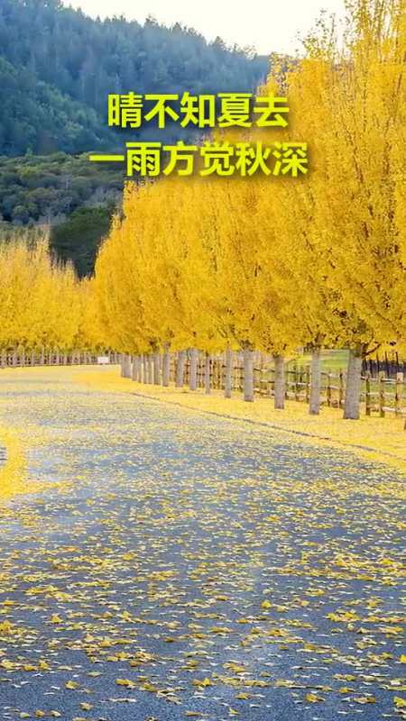 {體育投注}(不言而喻的拼音)