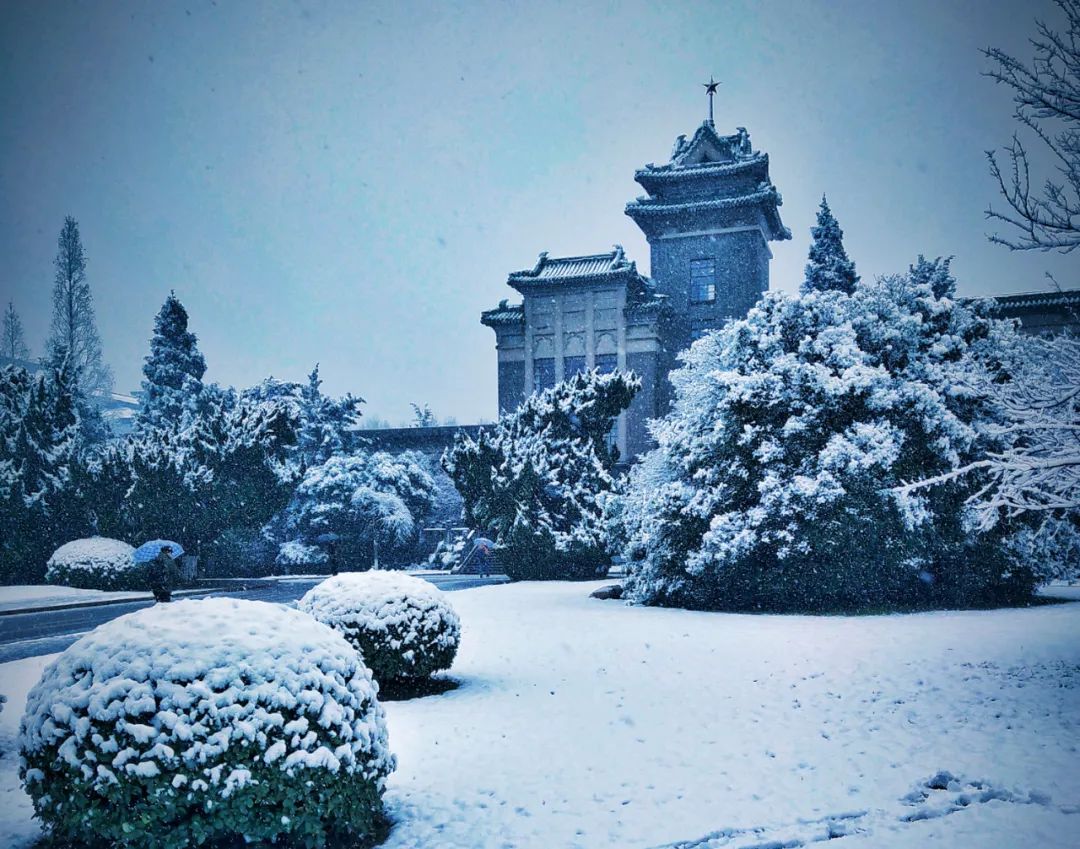 {線上娛樂}(南京农业大学图书馆学考研)