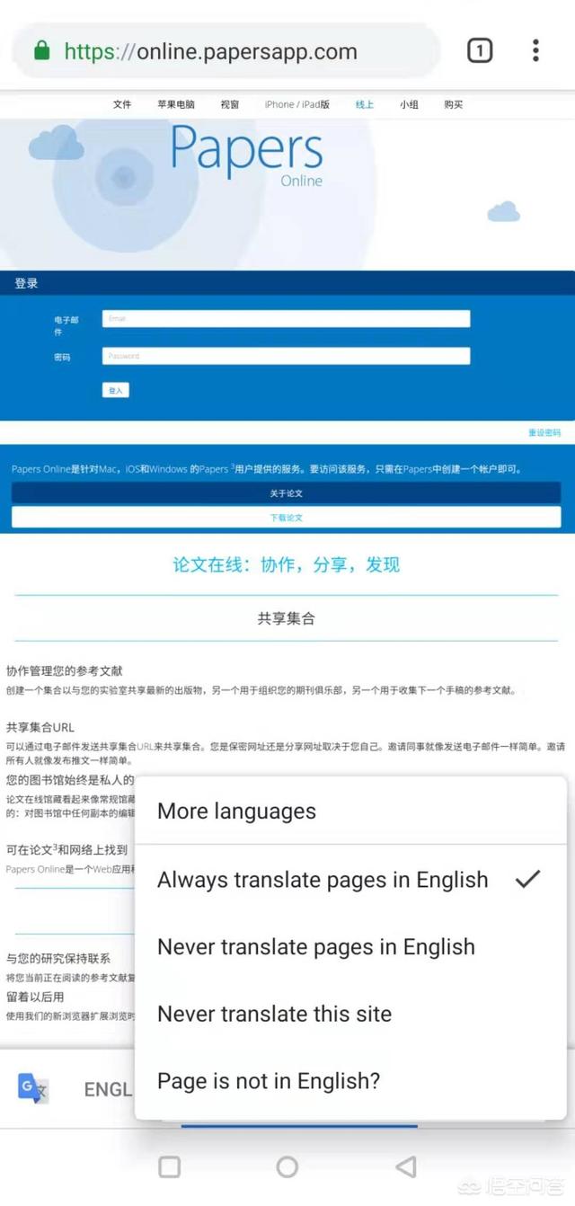 {娛樂城}(网页翻译怎么设置)